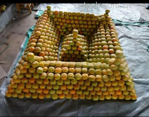 凉拌西红柿制作过程