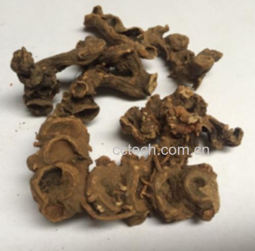 正品八角与莽草形态对比:角数、角尖曲度、色泽、气味五项鉴别指标 八角与毒八角对比图