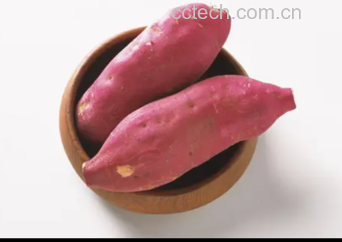 凉拌红薯丝 醋拌红薯丝