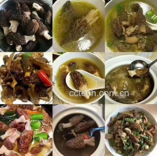 羊肚菌用于炒饭、炖汤、清蒸等不同烹饪方式 羊肚菌烹饪场景图