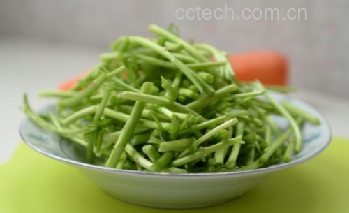 图片说明:一碗热气腾腾的茼蒿菠菜豆腐汤,绿色蔬菜与白色豆腐相映成趣,汤色清澈,香气扑鼻 茼蒿菠菜豆腐汤成品图