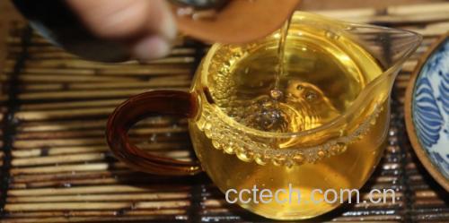 茉莉花茶冲泡过程展示