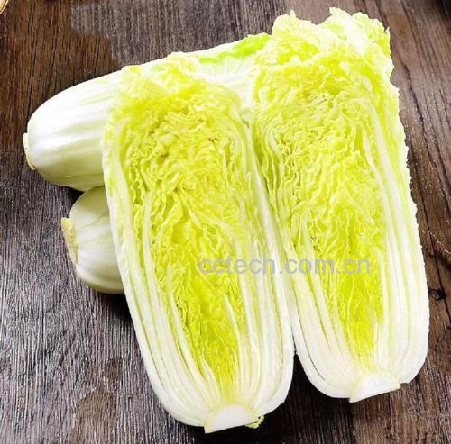 洋葱和娃娃菜可以一起炒吗？食材搭配图