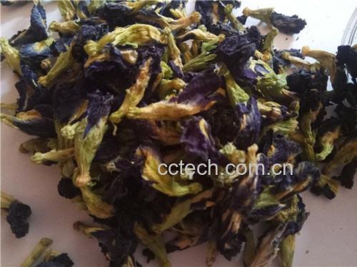 茉莉花茶冻成品展示