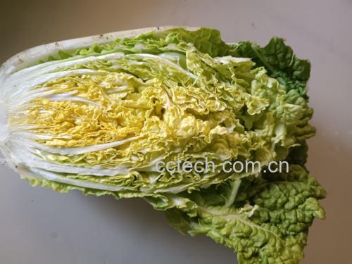 蒜蓉娃娃菜成品图,色泽翠绿,蒜香浓郁 蒜蓉娃娃菜