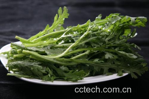 茼蒿油菜爆炒过程特写