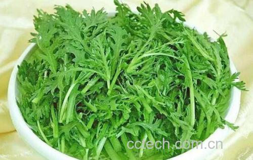 茼蒿营养成分信息图:环形图表展示维生素C、β-胡萝卜素、钾、膳食纤维占比