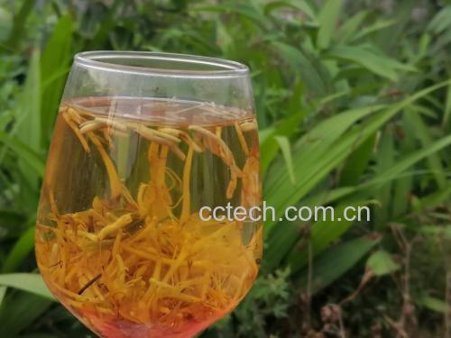 茉莉花茶冲泡成品图