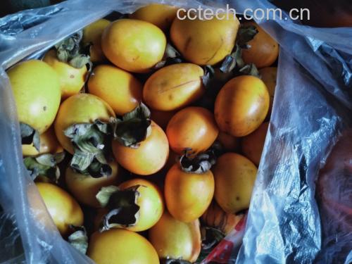 混果催熟密封袋示意图