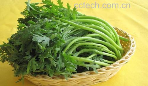 茼蒿清洗与烹饪过程