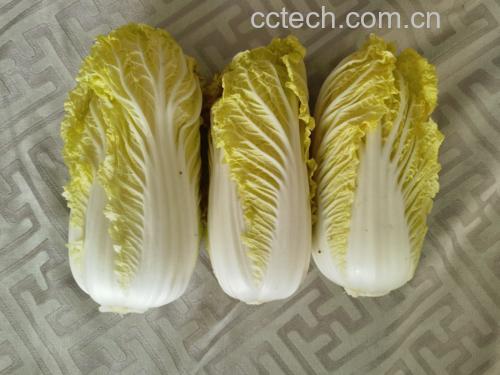 娃娃菜沙拉制作示意图