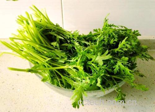 高清微距图:新鲜茼蒿茎叶分明,焯烫15秒后呈鲜亮翠绿色,正被快速捞入盛有冰块的透明玻璃碗中,冰水清澈,茼蒿叶片舒展无萎蔫,背景为白色瓷砖操作台 茼蒿焯水后冰镇过程特写