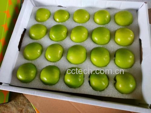 红枣牛奶饮品