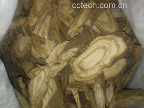 道地野葛根饮片实物图:符合《中国药典》性状描述——‘切面黄白色至淡棕色,纤维性,具粉性,显放射状纹理’,表面无硫熏痕迹(无刺鼻酸味),断面无玻璃样光泽(排除掺假) 野葛根饮片特写:淡黄棕色切片,表面可见明显环状纹理与放射状维管束,边缘微翘,质地坚实,无霉变或虫蛀
