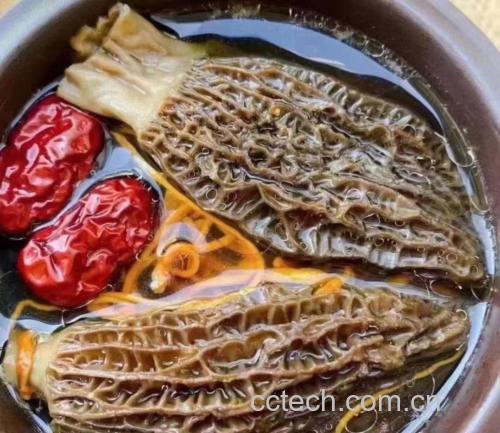 羊肚菌成品菜肴图