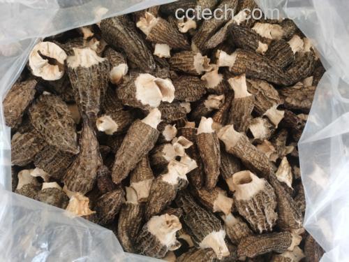 羊肚菌泡发前后对比图