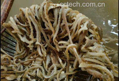 羊肚菌清洗步骤图,展示如何用盐水浸泡与清水冲洗 羊肚菌清洗步骤