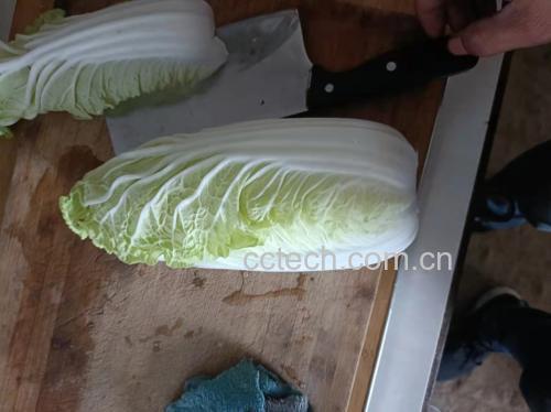 洋葱和娃娃菜炒制前的食材准备图