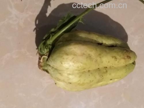 黄瓜与豆腐不宜同食 黄瓜与豆腐搭配示意图