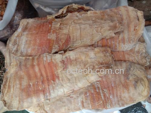 干竹笋炒鸡蛋成品图 干竹笋炒鸡蛋成品图