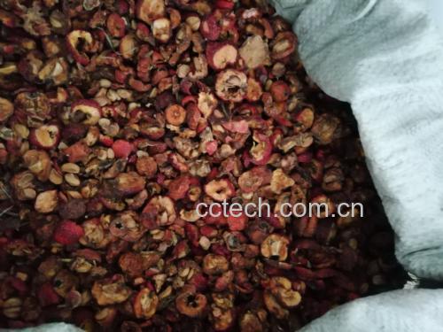 高清微距摄影:左侧为切片山楂干(直径1.5cm,呈棕红色,表面皱缩明显,可见浅黄色果肉纹理);右侧为宁夏中宁枸杞干(长椭圆形,鲜红透亮,表面覆薄层天然果蜡,粒径6–8mm,单粒重0.32±0.05g);背景铺陈白色陶瓷茶盏与玻璃量杯 山楂干与宁夏中宁枸杞实物特写
