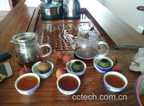 展示栗子壳泡茶的成品图,配有茶具和干栗子壳 栗子壳泡茶效果图