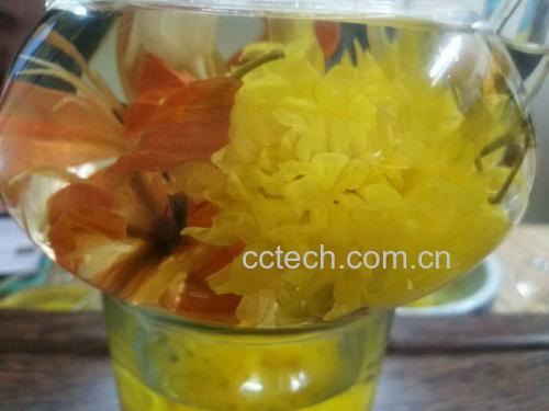 茉莉花茶泡在玻璃杯中,散发出淡淡香气 茉莉花茶