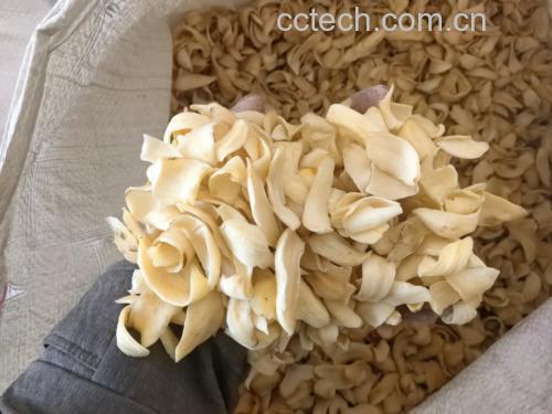 百合活性成分定量检测过程实景,突出科学验证方法与关键指标可视化 实验室场景:科研人员操作高效液相色谱仪(HPLC)分析百合提取物色谱图,电脑屏幕显示清晰分离的百合皂苷B1峰(保留时间12.4min),旁置标准品对照管与卷丹百合粉末样品