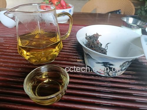 山楂干与绿茶并排摆放在木质托盘上,旁边是一壶热水和茶具 山楂干与绿茶组合展示图