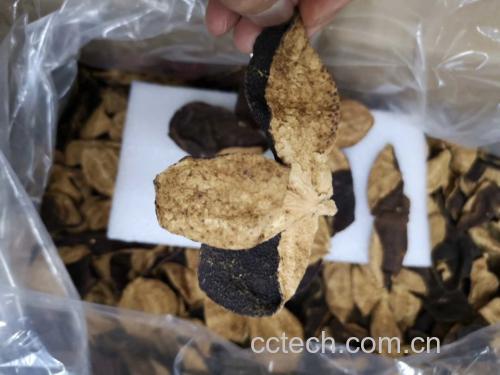 八角与陈皮、生姜、薏仁等食材搭配使用的示意图,强调食材组合在祛湿中的协同作用 八角与其他祛湿食材搭配图