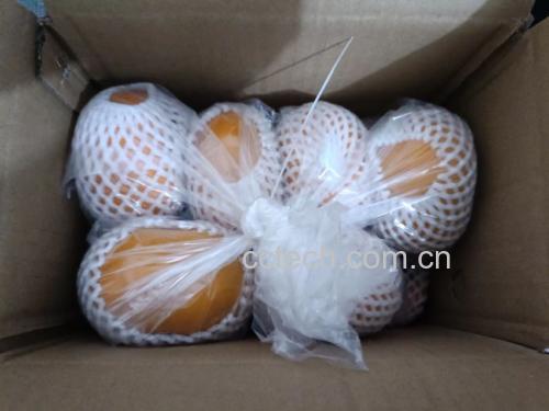 脆柿去皮与穿绳工序展示,体现传统手工制作细节 工人手工为脆柿去皮并用细绳穿起悬挂,动作熟练,背景为木质晾架