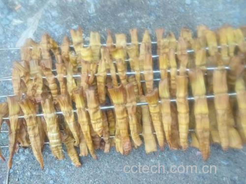 冷冻竹笋品质显微对比:左为规范工艺优质样,右为反复冻融劣变样,细胞结构差异直观体现营养与口感衰减本质原因 显微对比图:左侧为优质冷冻竹笋横切面(细胞壁完整、淀粉颗粒清晰、无空洞);右侧为劣变冷冻笋(细胞间隙扩大、出现大量空泡、部分细胞壁崩解)