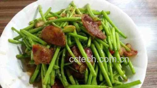 茼蒿与虾仁一起翻炒