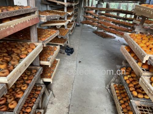 一组展示柿饼传统制作流程的照片:工人手工削皮、将柿子穿绳悬挂于通风棚架下,阳光照射下的柿子逐渐脱水收缩,最终成品表面布满白色结晶状柿霜 传统手工制作柿饼的全过程展示:包括削皮、串绳、悬挂晾晒及最终成品表面覆盖白色柿霜