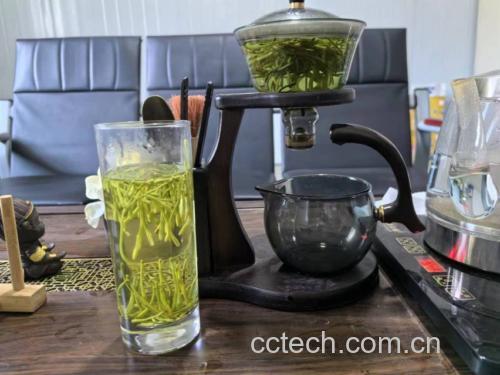 茉莉花茶冲泡过程图,展示如何正确冲泡茉莉花茶,包括水温控制和茶叶舒展状态 茉莉花茶冲泡过程