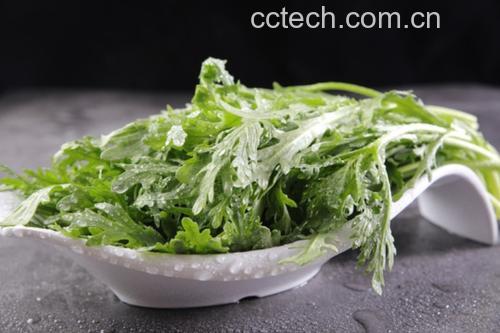 高清对比图:左侧为刚调好的茼蒿猪肉馅,翠绿湿润、颗粒分明、无明水;右侧为包好的翡翠饺子生胚,褶纹清晰,馅料饱满不鼓胀,皮色透出淡淡青绿 茼蒿猪肉馅成品与饺子对比图