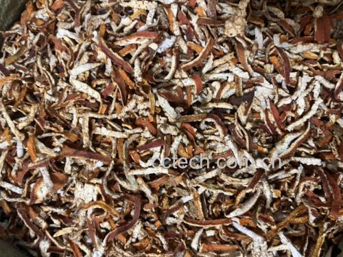 图片说明:新鲜山楂与陈年陈皮并列摆放,展现其天然色泽与质感 山楂与陈皮的原材料展示