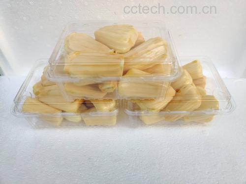 菠萝蜜果肉与酸奶搭配示意图