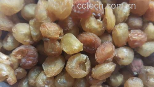 展示新鲜龙眼果肉与干燥处理后的桂圆干,清晰对比两者的形态差异 桂圆干与新鲜龙眼对比图