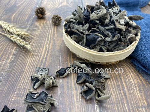 展示黑木耳主要营养成分及其对血管健康的影响 黑木耳的营养成分分析图