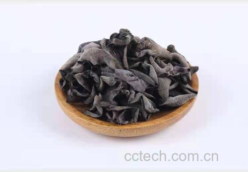 黑木耳炒鸡蛋成品展示,色泽金黄,木耳清晰可见 黑木耳炒鸡蛋成品图