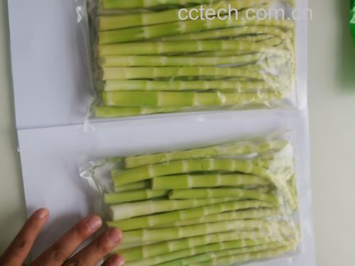 展示新鲜竹笋去皮、切片、焯水的过程,背景为厨房操作台 处理竹笋