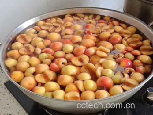 一口深色砂锅正在炉灶上慢火熬煮杏子,锅中金黄色液体微微冒泡,杏肉清晰可见,蒸汽袅袅上升,旁边摆放白糖罐、枸杞碗和 wooden spoon,体现家庭烹饪温馨场景 杏糖水熬煮过程