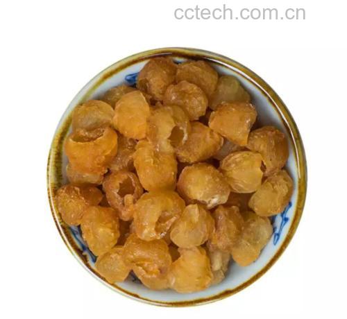 炖盅中正在炖煮的鸽子与桂圆,汤色微黄,旁边摆放着桂圆干和姜片 鸽子与桂圆炖汤过程图