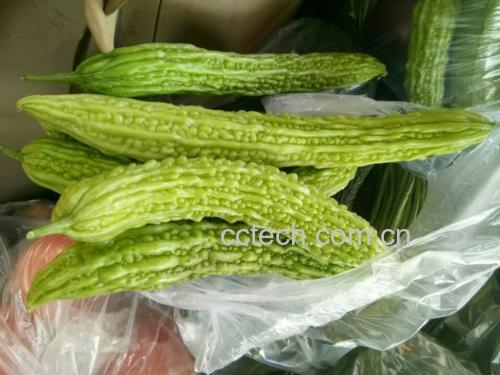 新鲜苦瓜与苹果、胡萝卜等榨汁常用食材摆放在桌面上 苦瓜榨汁原材料展示