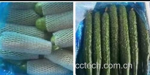 展示苦瓜与番茄的主要营养成分对比表格 苦瓜与番茄的营养对比图
