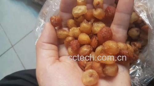 一张展示桂圆与其他食材搭配的养生食谱图,包括桂圆红枣粥、桂圆枸杞茶、桂圆莲子羹等 桂圆养生食谱示意图
