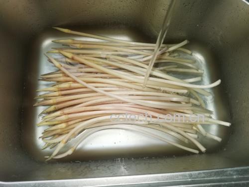 白萝卜小葱煮水的过程图