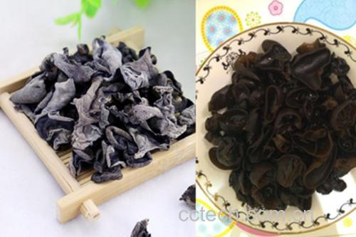 新鲜泡发的黑木耳呈半透明状,叶片舒展饱满;未泡发的干木耳卷曲坚硬,颜色深褐。图示展示两者形态差异,并配有清水浸泡过程中的容器与时间标注 黑木耳泡发前后对比图