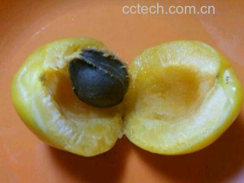 酸杏变甜美食制作过程图